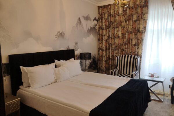 hotel sinaia palace (3)